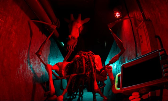 疯批动物园 疯批动物园