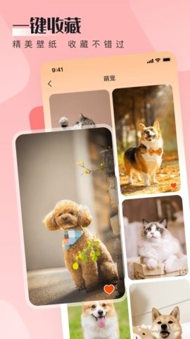 WalP壁纸 WalP壁纸